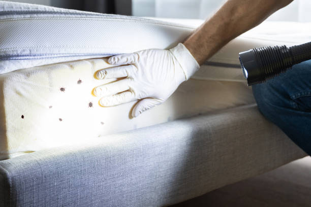 Best Pest Prevention Services  in Sea Ranch, CA
