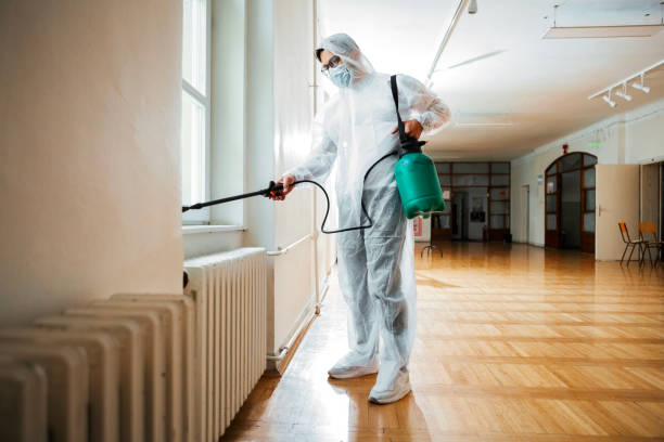 Professional Pest Control in Sea Ranch, CA